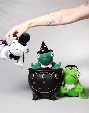 Toad Witch Plushie (PRE-ORDER)