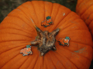 Pumpkin Toad Pin