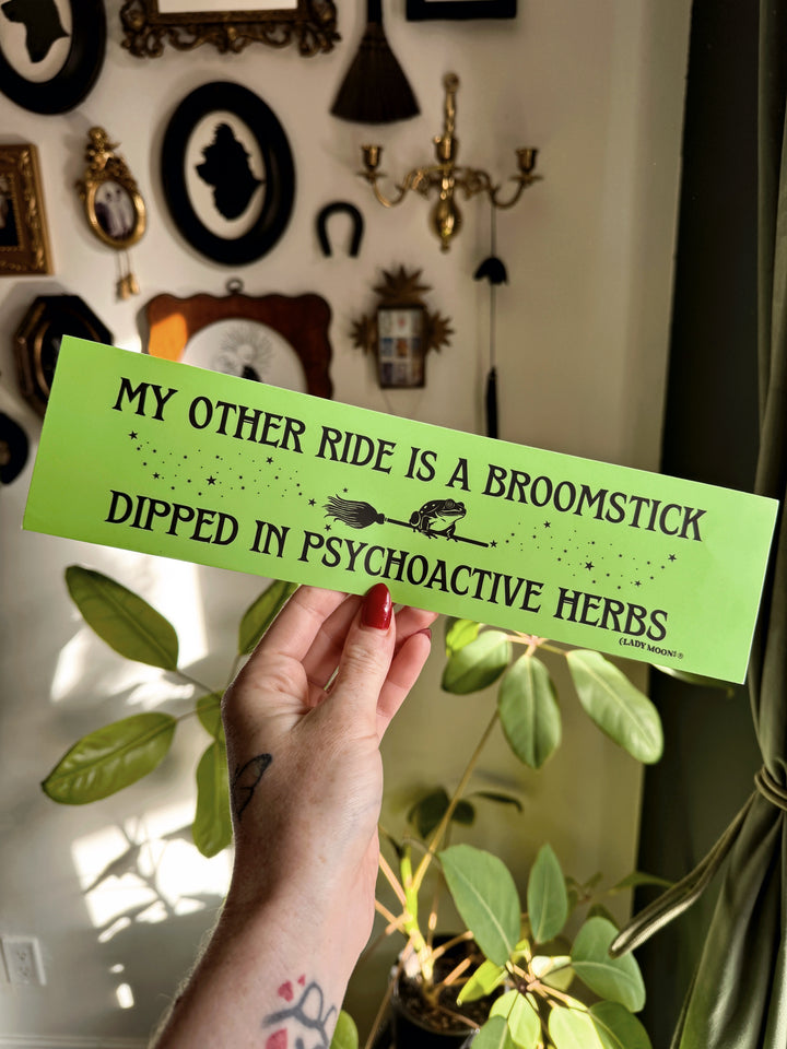 Person holding a green sign with humorous text in a decorative room.