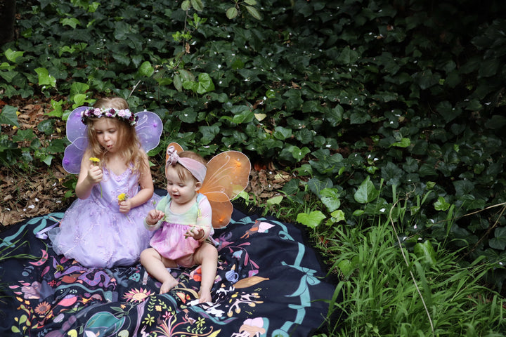 Wheel Of The Fae Traveling Spell Space