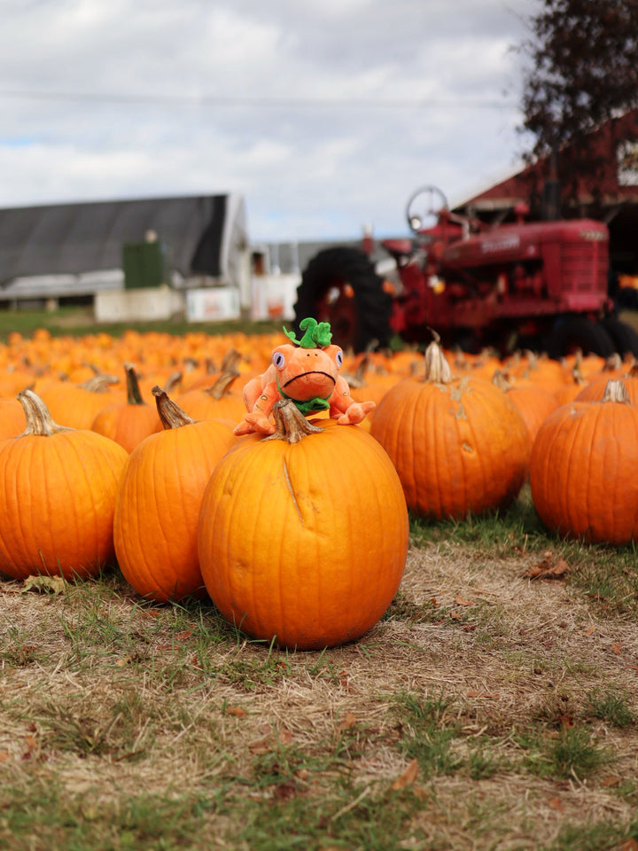 Pumpkin Toad Plushie