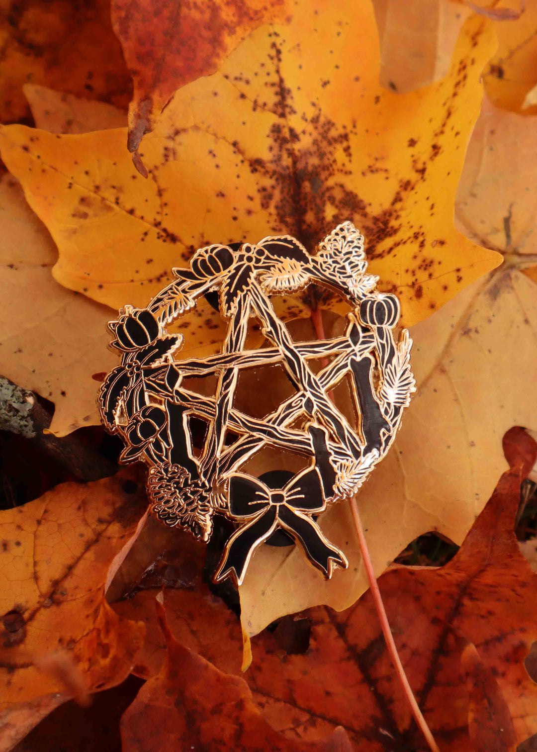 Silver brooch with black accents on a bed of autumn leaves